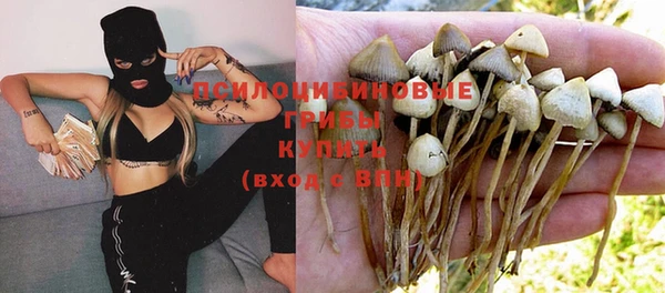 гидра Баксан
